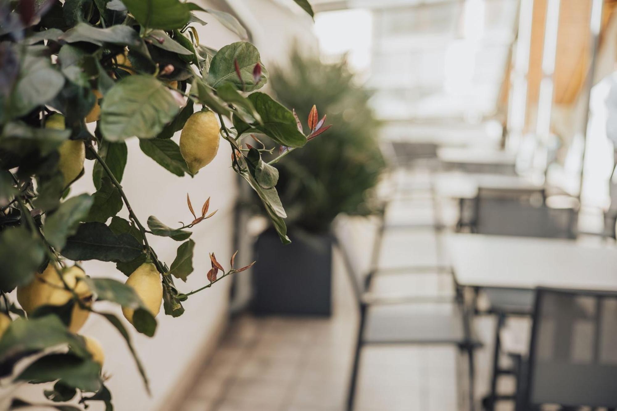 Feichter Hotel & Bistro Μπολζάνο Εξωτερικό φωτογραφία
